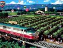 Alexander Chen - Napa-Wine-Train.jpg( 72.59 KB)