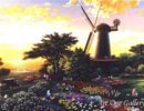Alexander Chen - Windmill-At-Golden-Gate-Park.jpg( 50.87 KB)